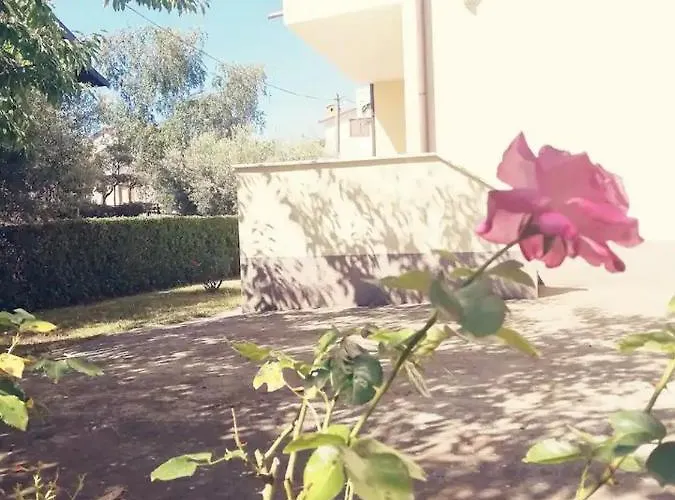 Novigrad Istra Apartman Novigrad Istria